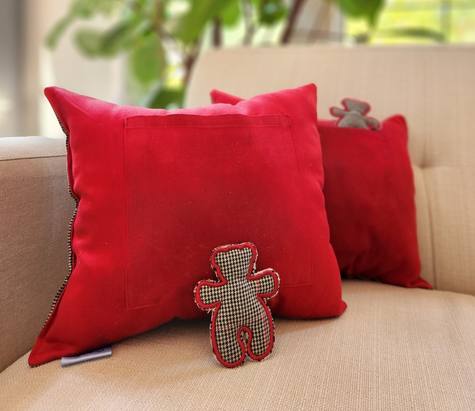 Throw Pillows and Charm Bears